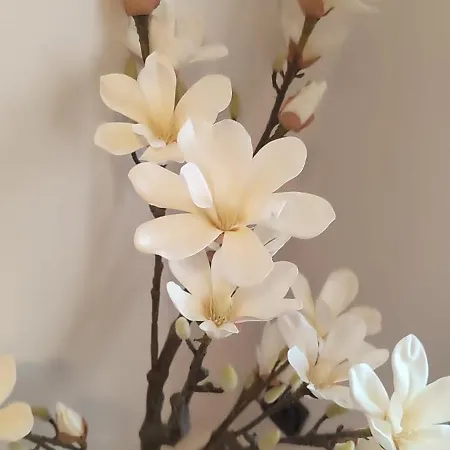 Core - Bullseye Appartamento *