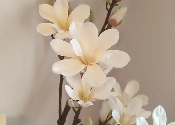 Core - Bullseye Appartamento *